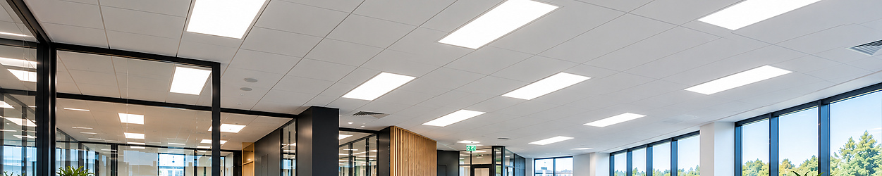 LED-paneler 30x120 cm