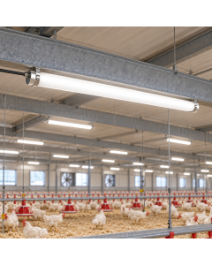 LED Vandtæt Armatur IP69K 40W – 6.000 Lumen – 4000K – 120 cm