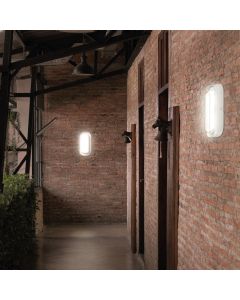 LED loftlampe oval 10W CCT IP54 IK10 205×105 mm – hvid