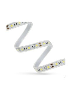 SMD 5050 LED-strimmel – 12 V – 55 W / 14,4 W/m – 4900 lm – kold hvid – IP44 – rulle 5 m